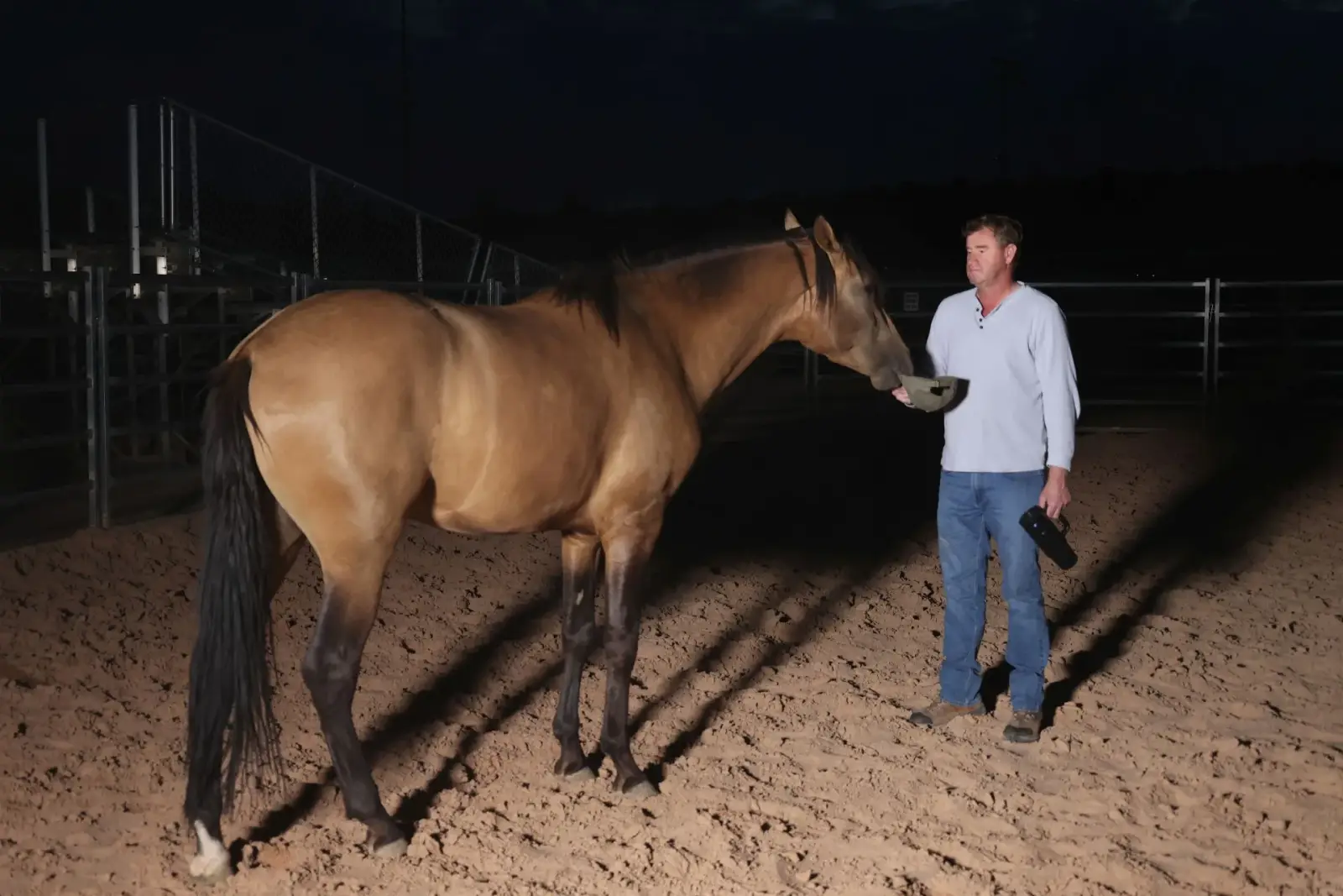 ELVIS Buckskin Colt - Photo 10