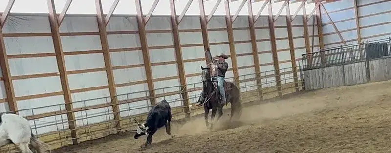 GUNNER “TWO SMOKES IM DONE “ Brown Gelding Quarter Horse - Photo 3