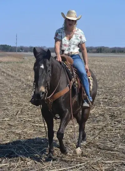 GUNNER “TWO SMOKES IM DONE “ Brown Gelding Quarter Horse - Photo 6