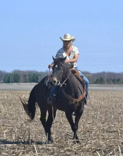 GUNNER “TWO SMOKES IM DONE “ Brown Gelding Quarter Horse - Photo 10