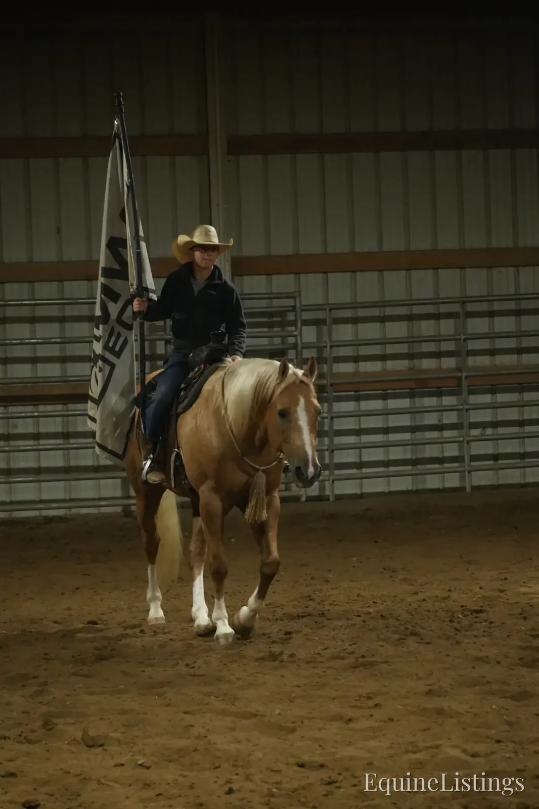 Via Jing Jupe Palomino Gelding Quarter Horse - Photo 16