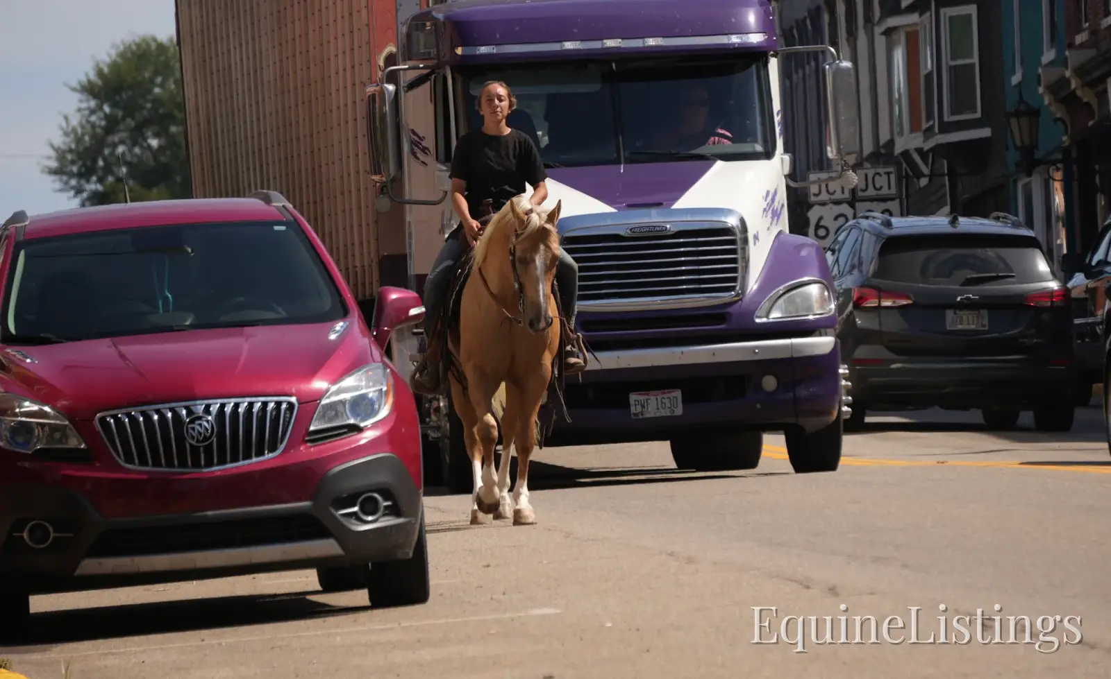 Via Jing Jupe Palomino Gelding Quarter Horse - Photo 3