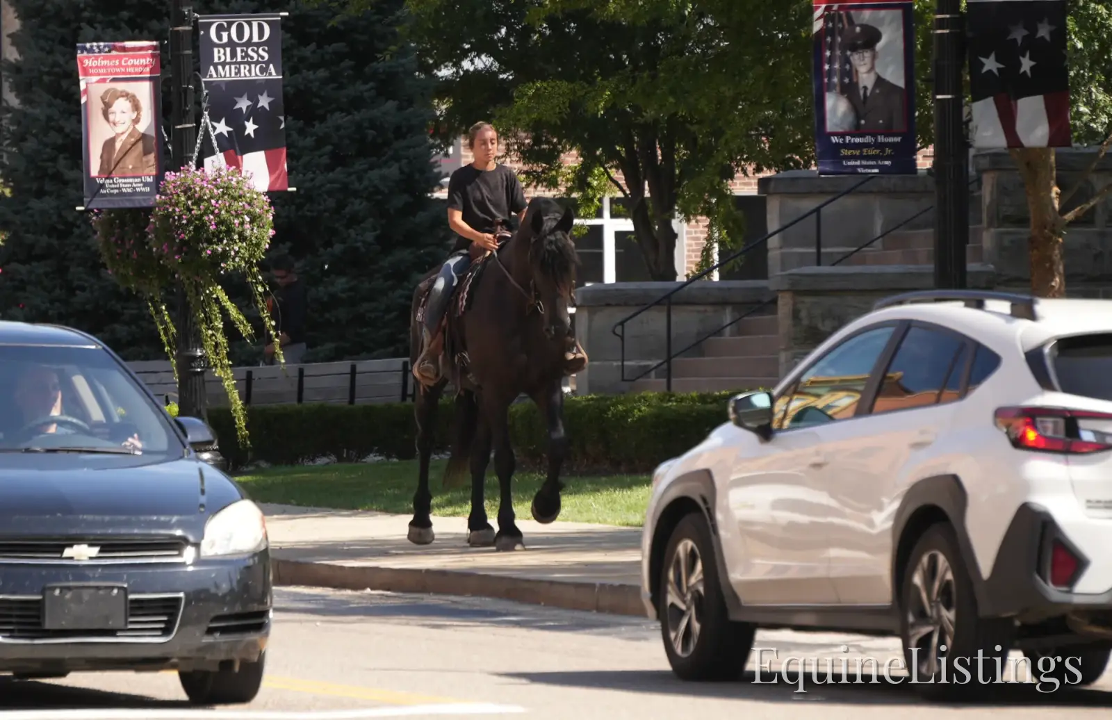 EVF Amazing Azia Black Gelding Friesian Cross - Photo 12