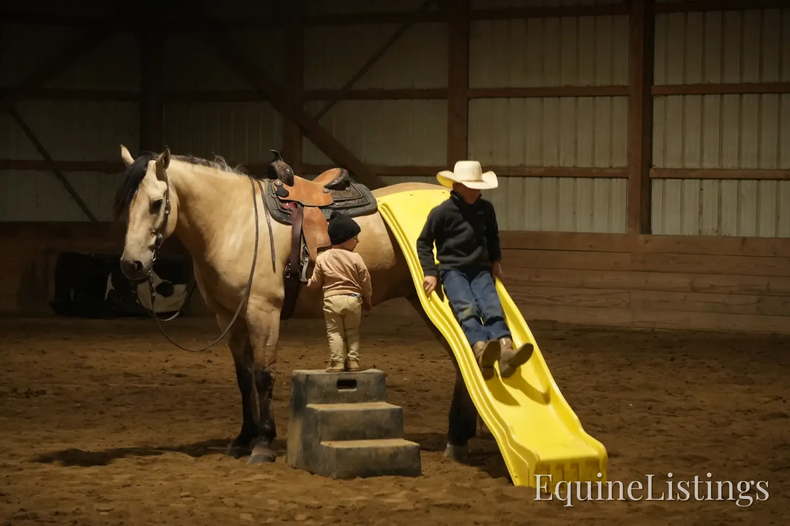 Bourbon Buckskin Gelding Quarter Horse - Photo 2