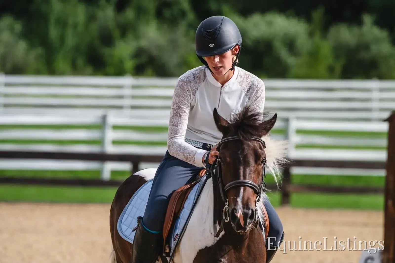 Tito Palomino Gelding Pony - Photo 11