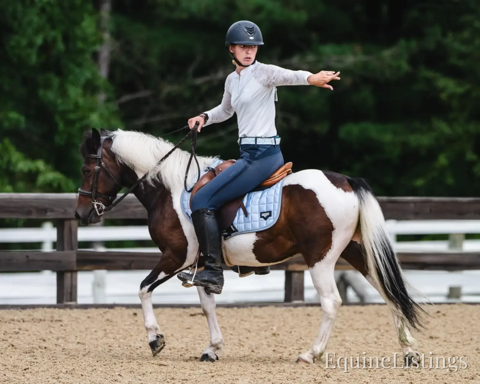 Tito Palomino Gelding Pony - Photo 2