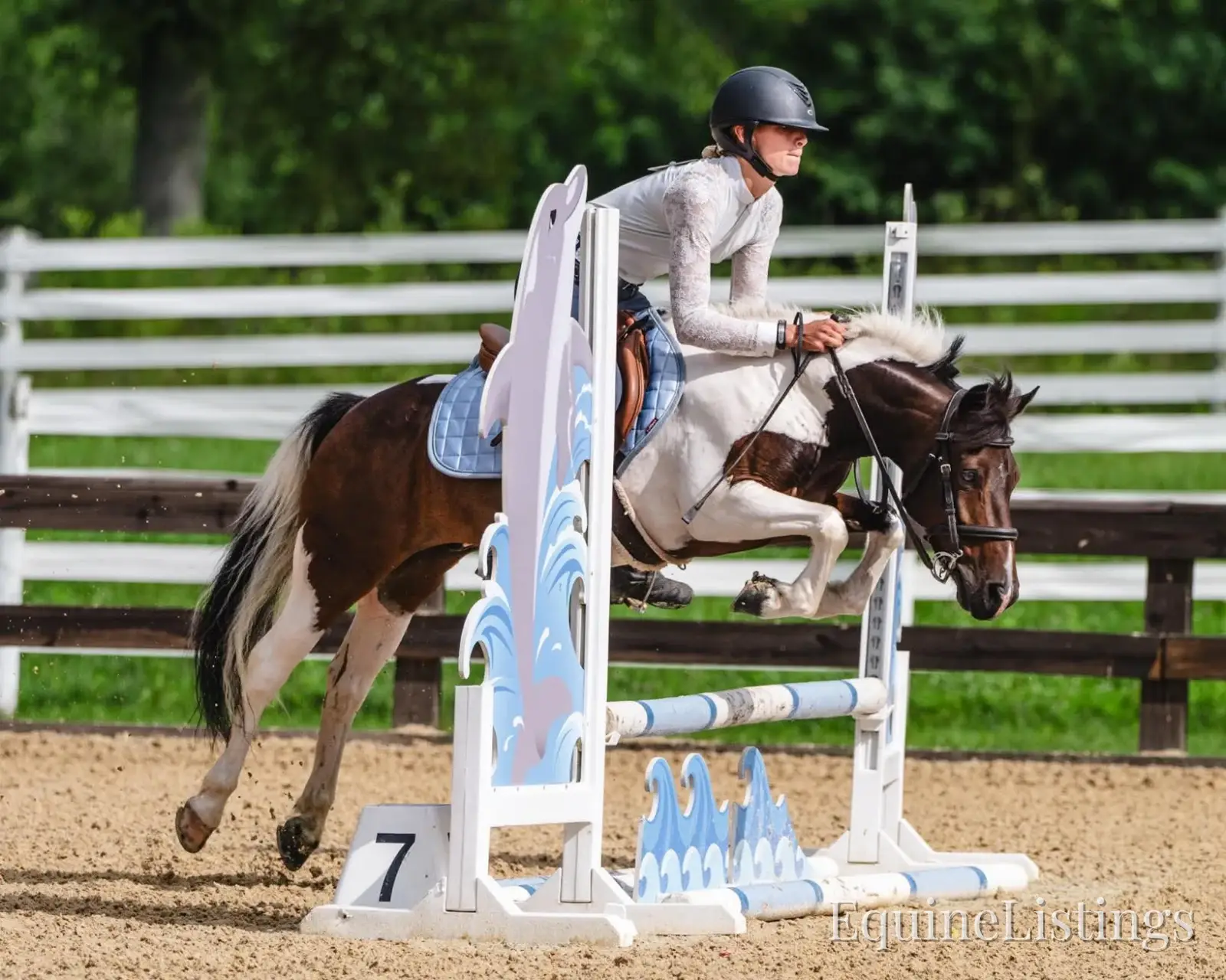 Tito Palomino Gelding Pony - Photo 3