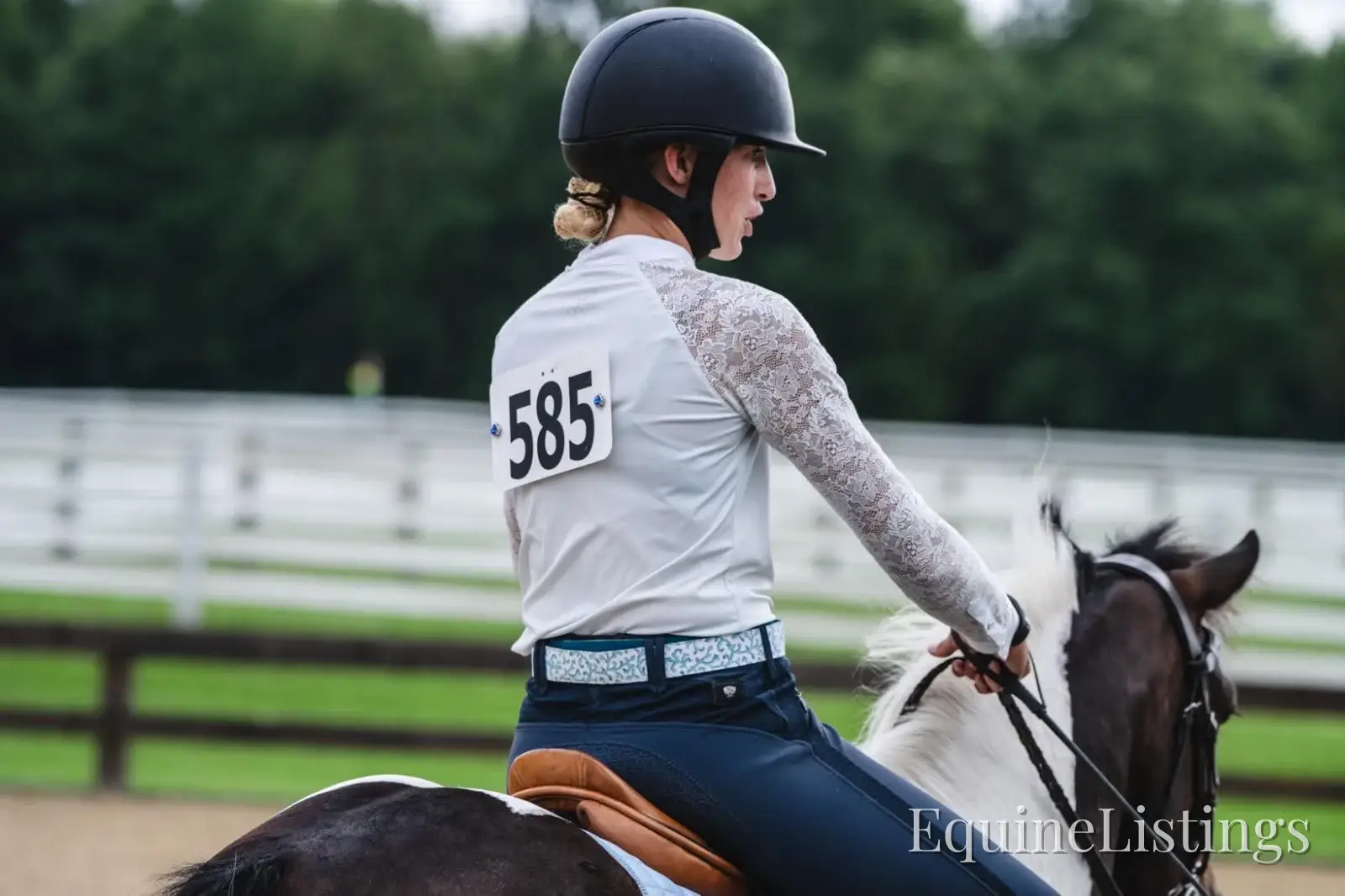 Tito Palomino Gelding Pony - Photo 7