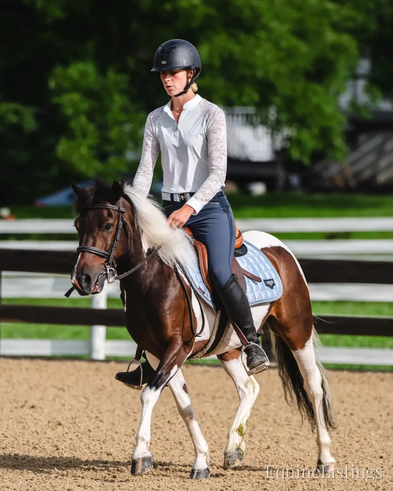 Tito Palomino Gelding Pony - Photo 8