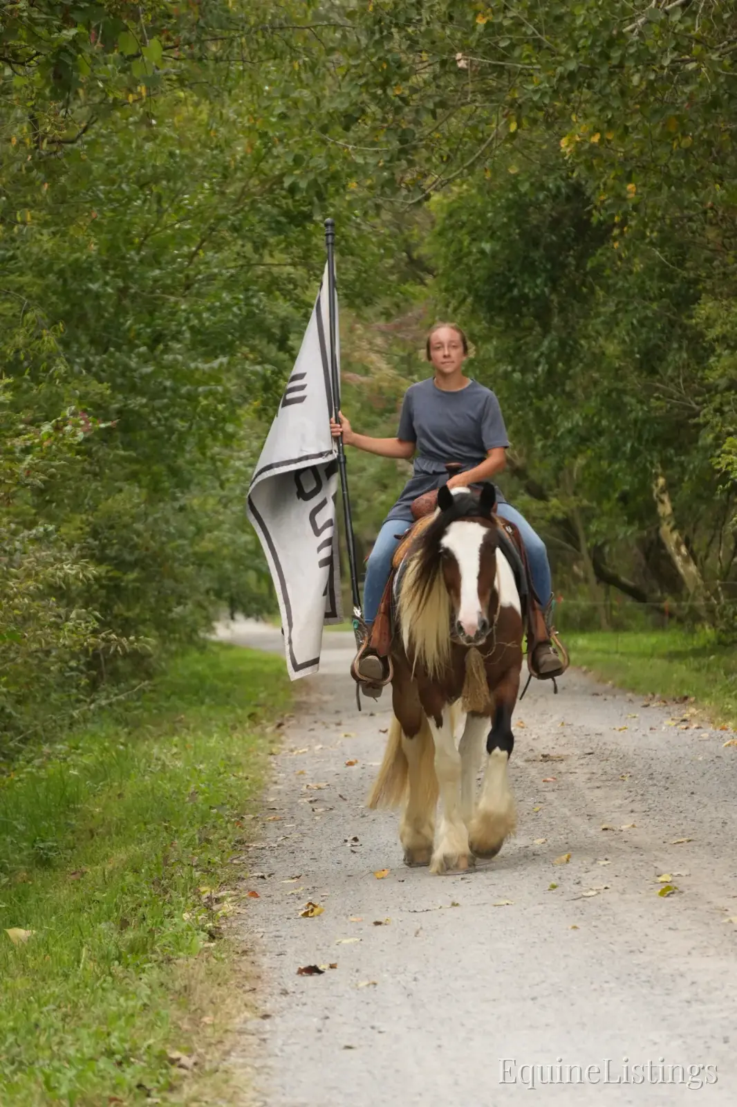Turbo Gelding Gypsy Vanner - Photo 11