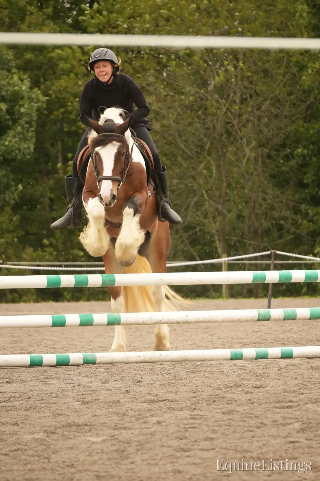 Turbo Gelding Gypsy Vanner - Photo 12