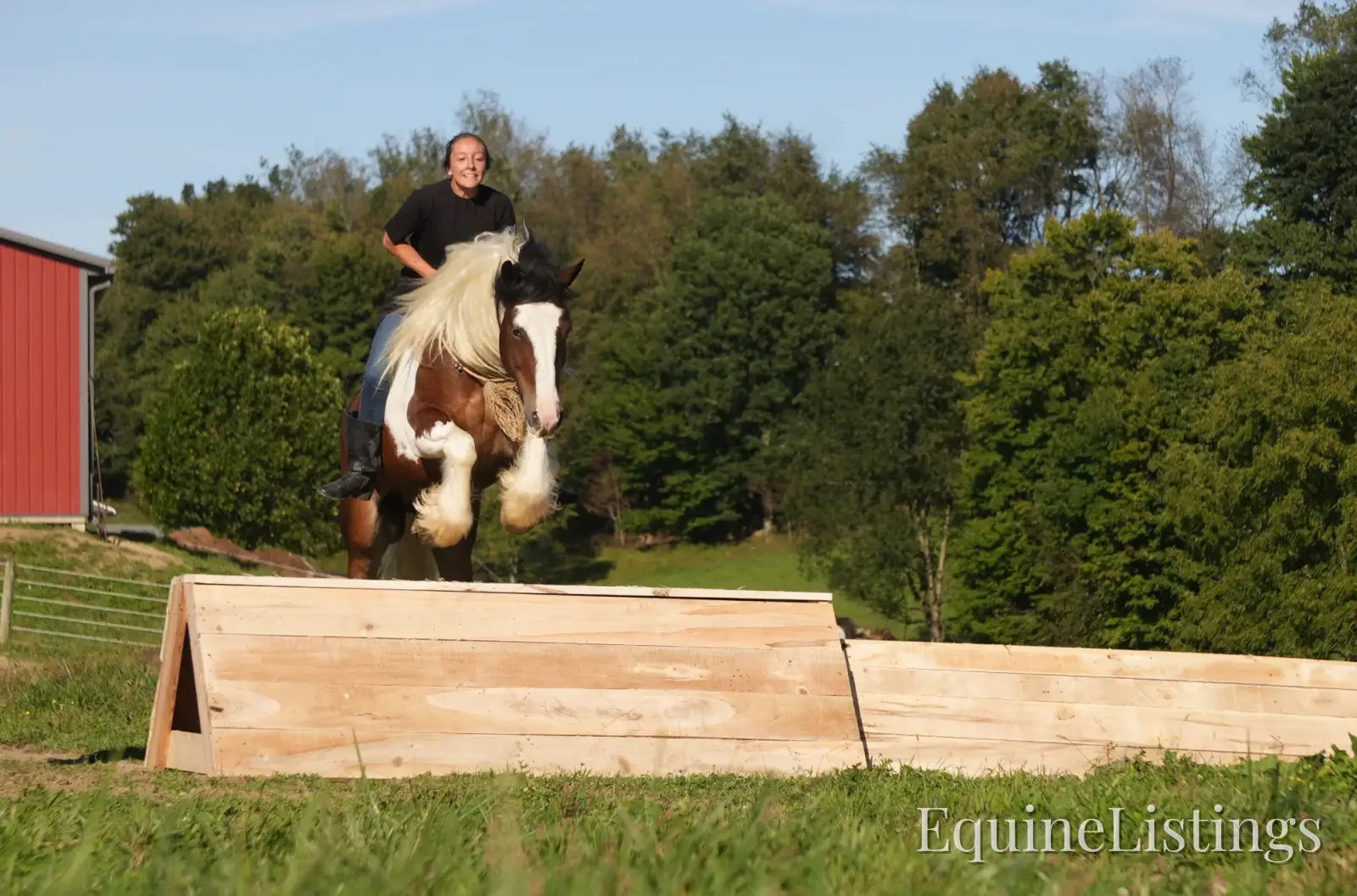 Turbo Gelding Gypsy Vanner - Photo 14