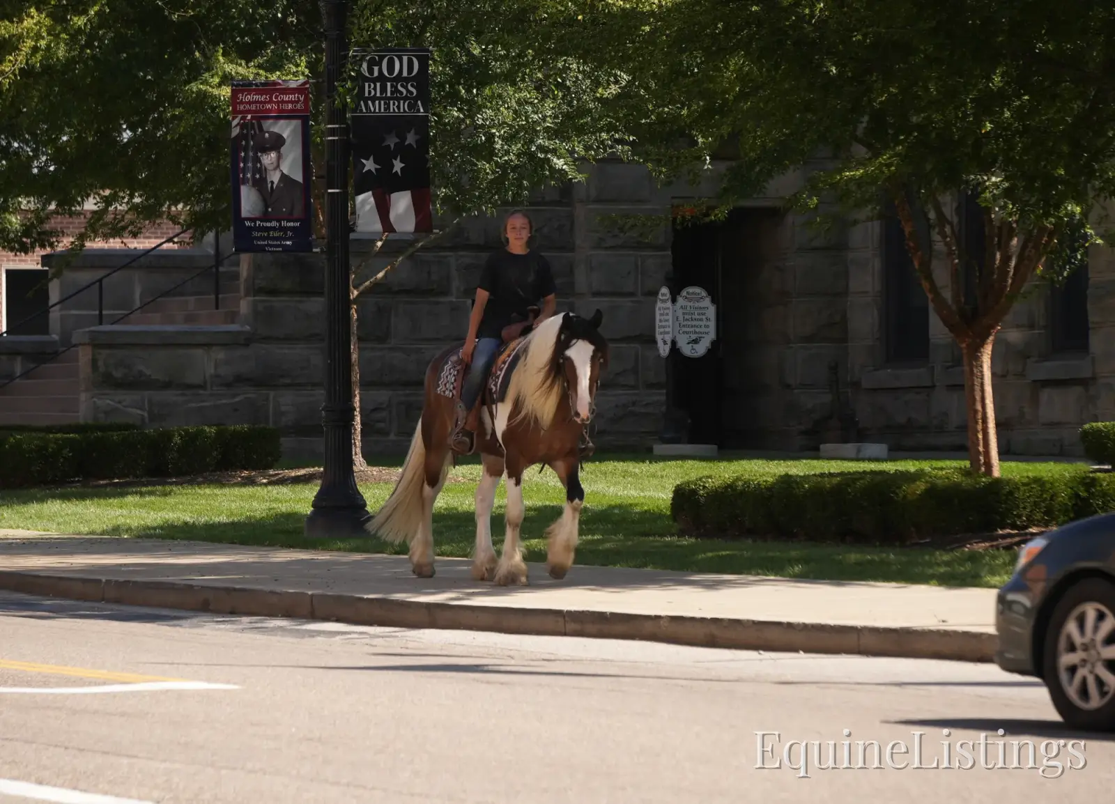 Turbo Gelding Gypsy Vanner - Photo 15