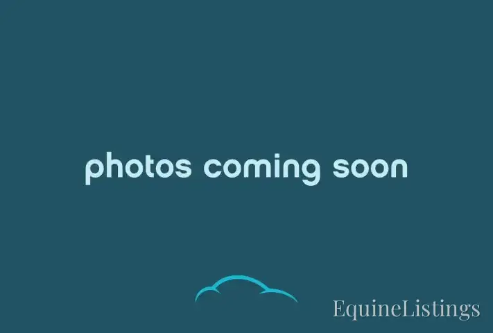 2026 Titan Trailers Horse Trailers