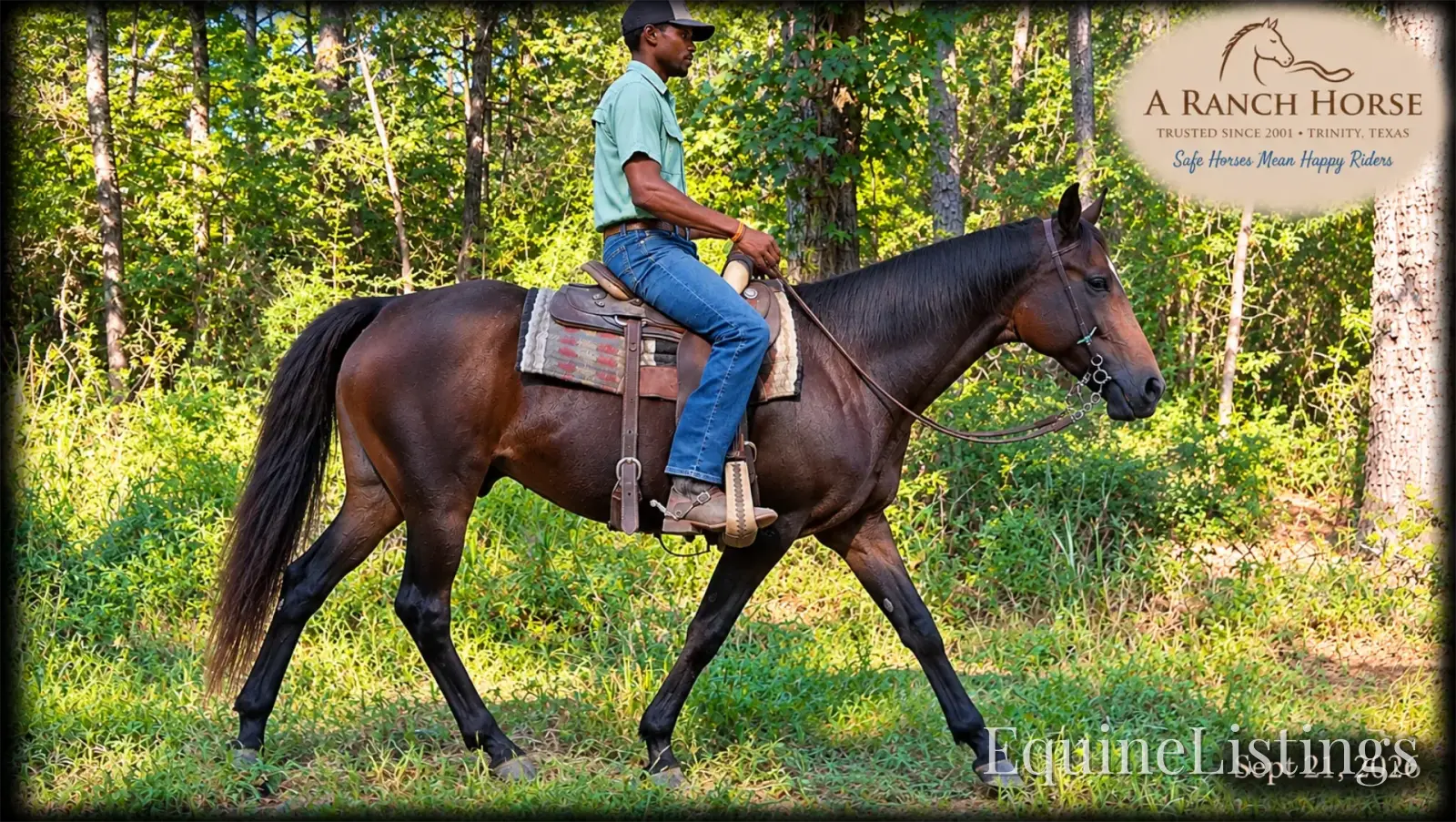 Cat Bay Mare Appendix - Photo 11
