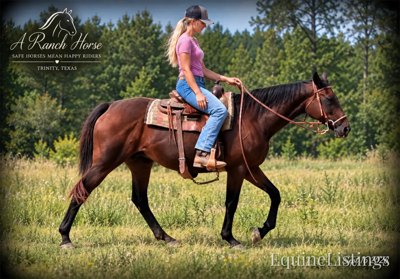 Cat Bay Mare Appendix - Photo 5