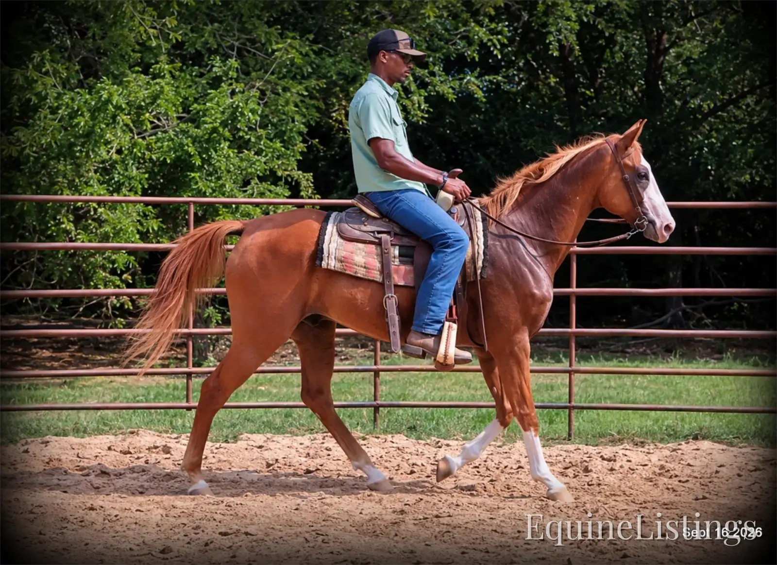 Rocky Sorrel Gelding Paint - Photo 10