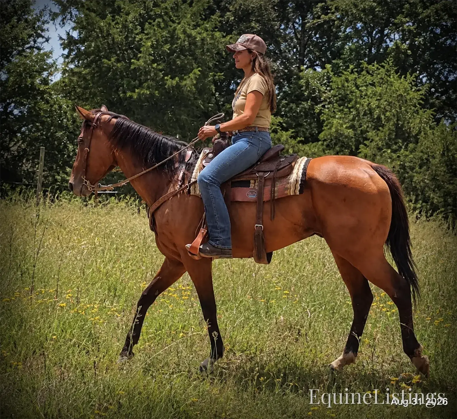 River Bay Mare Quarter Horse - Photo 14