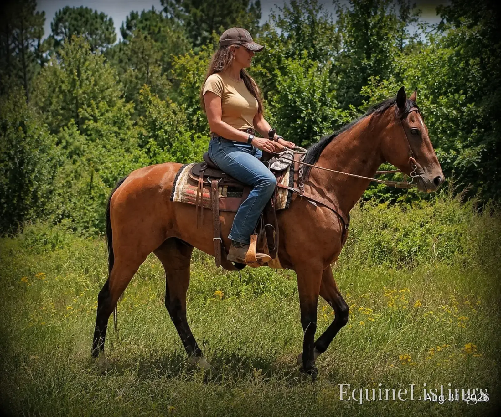River Bay Mare Quarter Horse - Photo 4