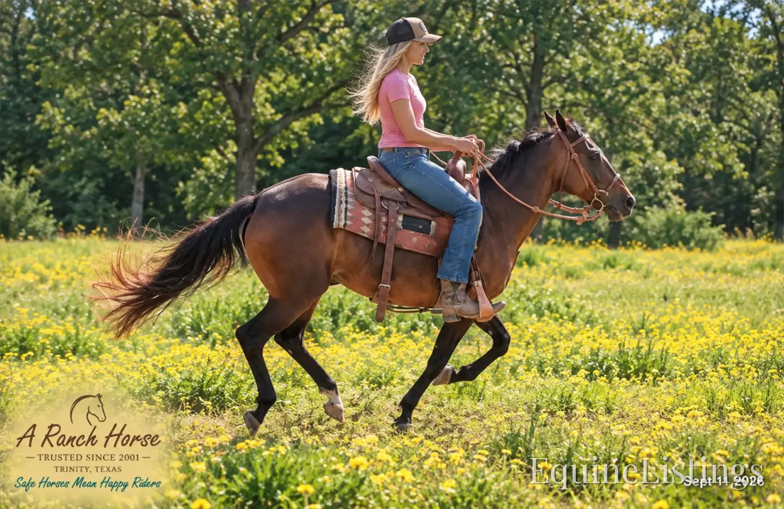 Pop-Tart Kid Safe Bay Mare Quarter Pony - Photo 4