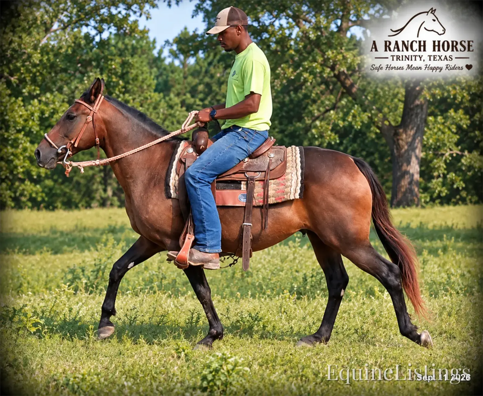 Pop-Tart Kid Safe Bay Mare Quarter Pony - Photo 5