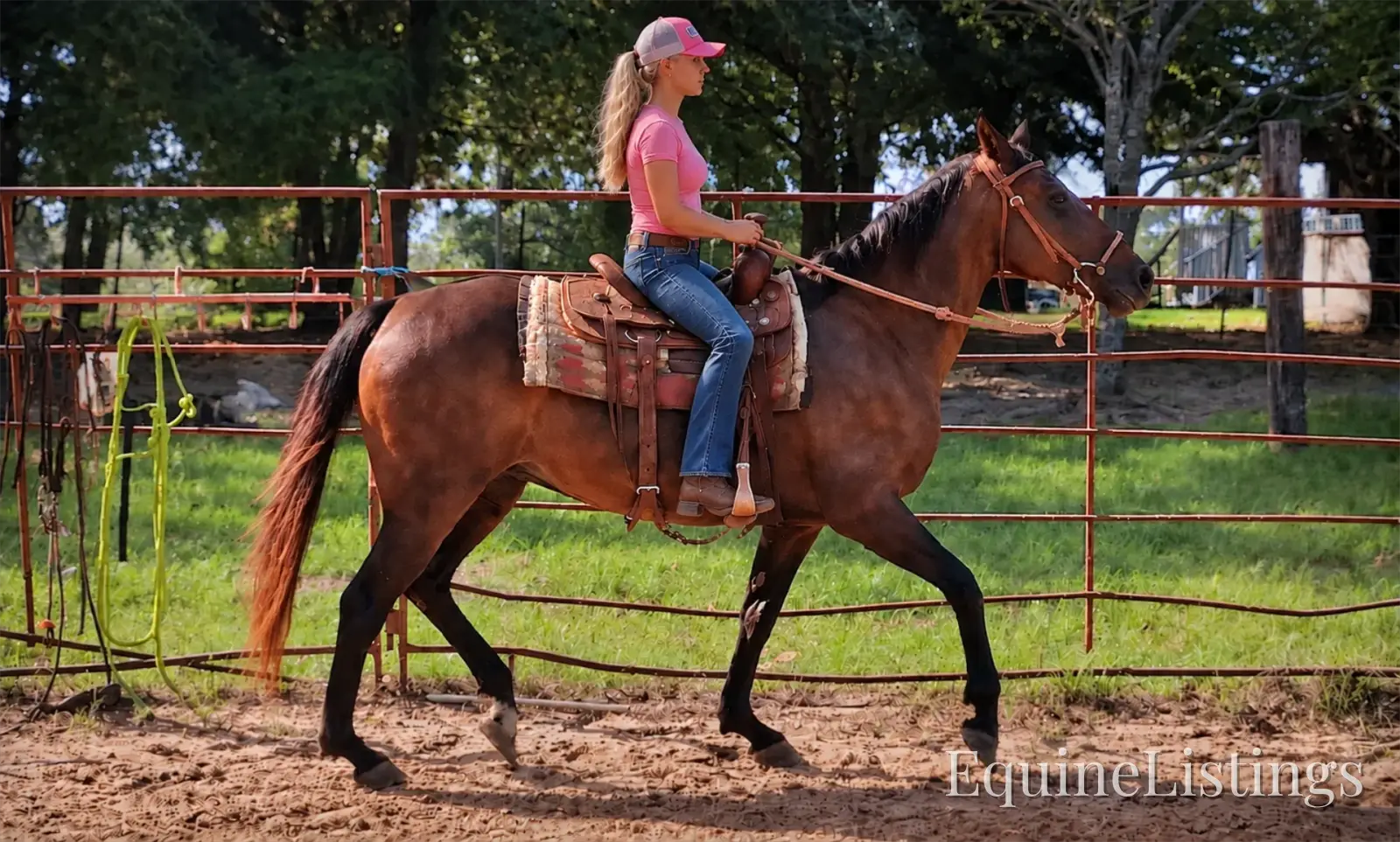 Pop-Tart Kid Safe Bay Mare Quarter Pony - Photo 6