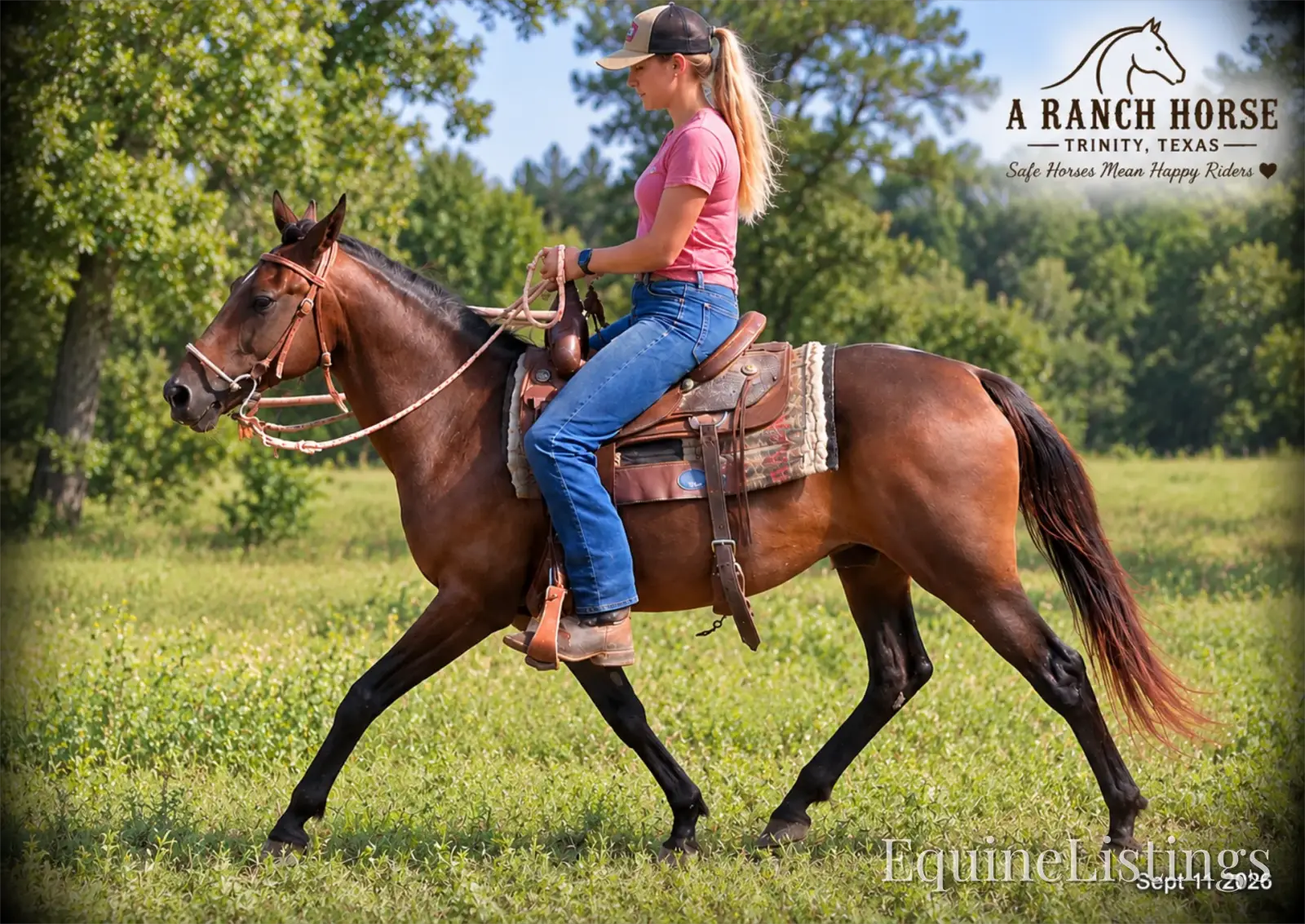 Pop-Tart Kid Safe Bay Mare Quarter Pony - Photo 7