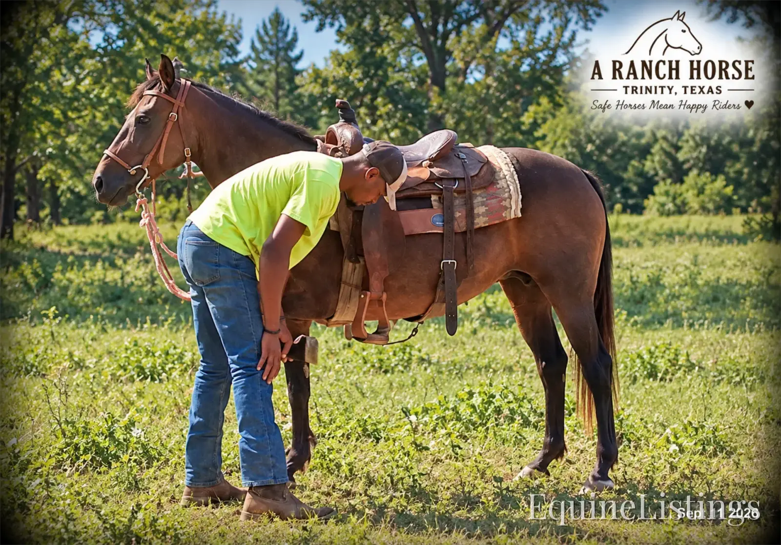 Pop-Tart Kid Safe Bay Mare Quarter Pony - Photo 8