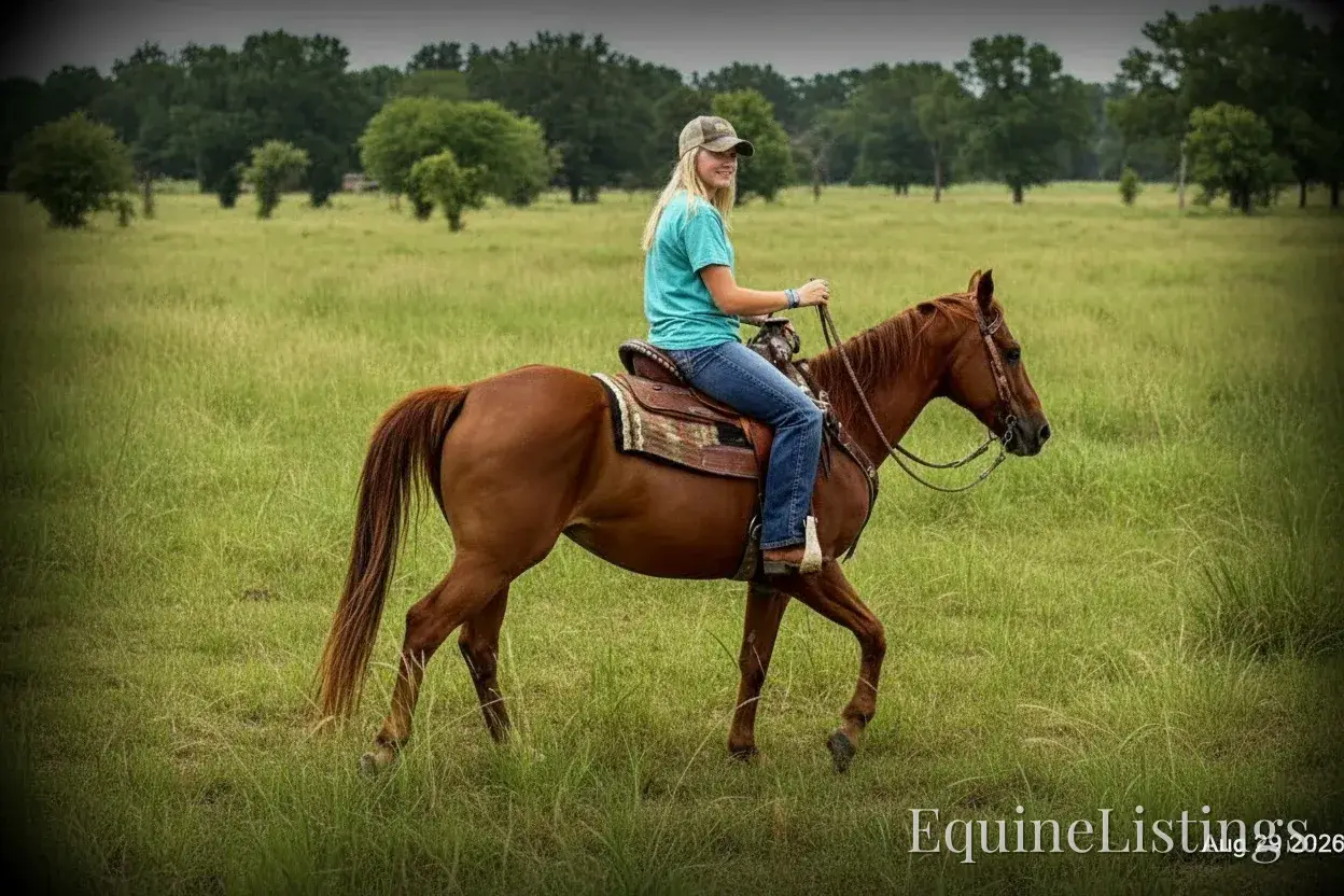 Brandy Sorrel Mare Quarter Horse - Photo 10