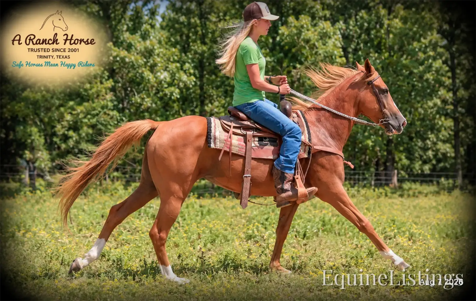 Blair Sorrel Mare Quarter Horse
