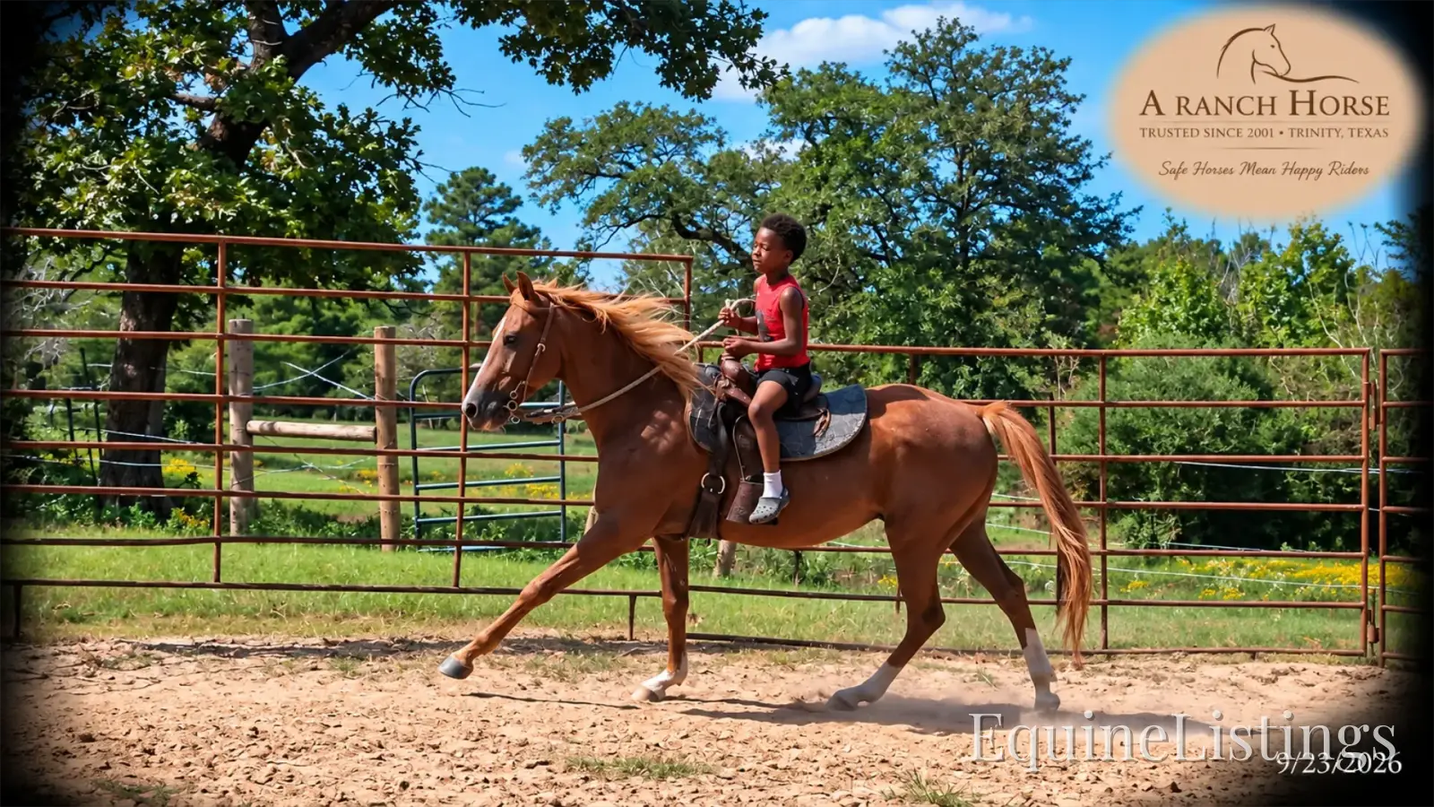 Blair Sorrel Mare Quarter Horse - Photo 5