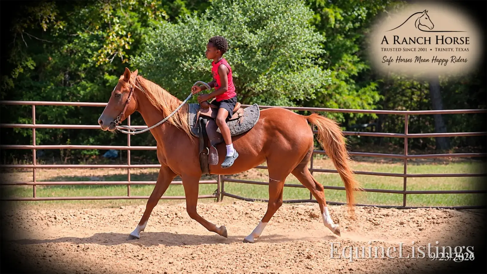 Blair Sorrel Mare Quarter Horse - Photo 6