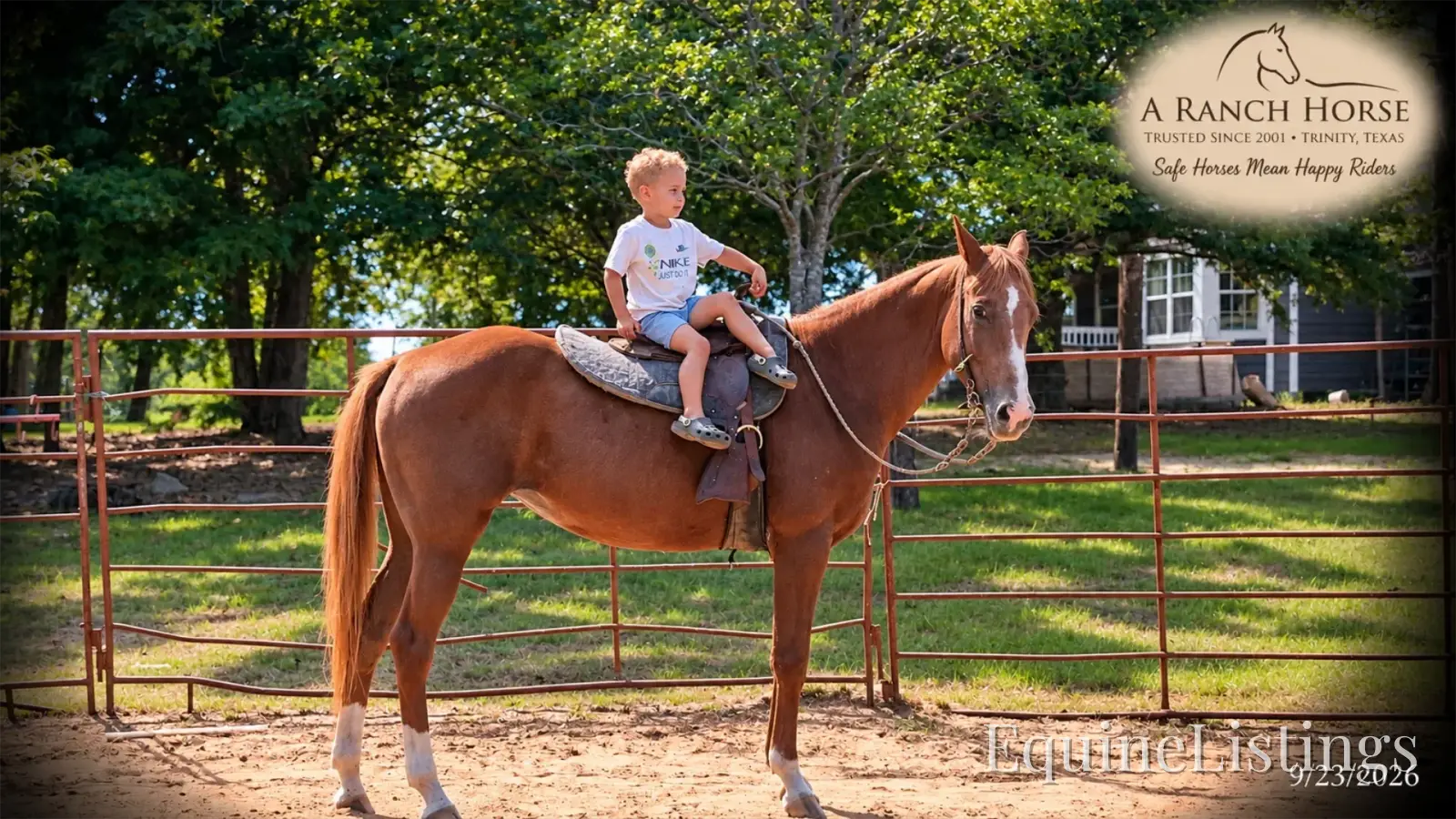 Blair Sorrel Mare Quarter Horse - Photo 7