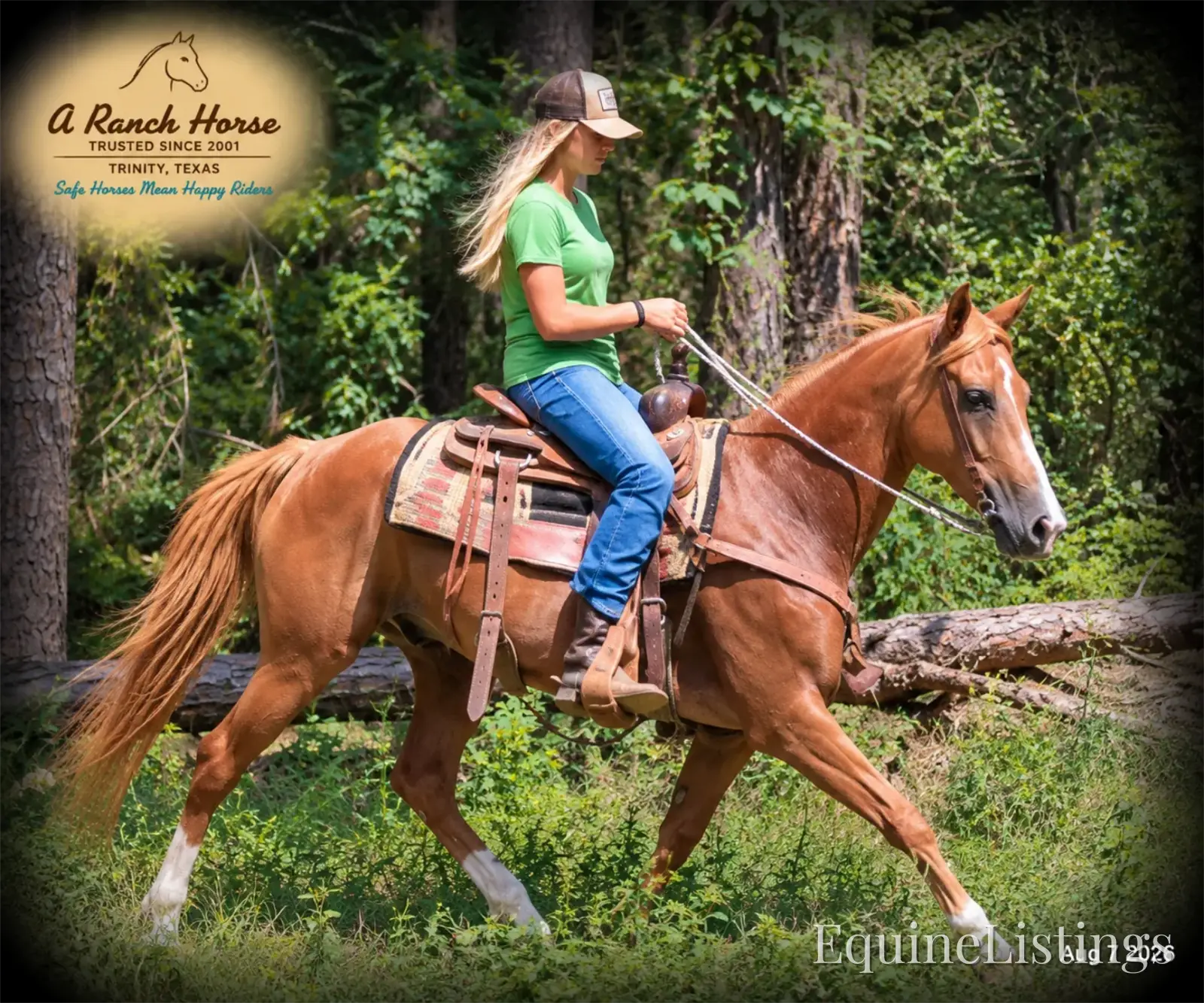 Blair Sorrel Mare Quarter Horse - Photo 9