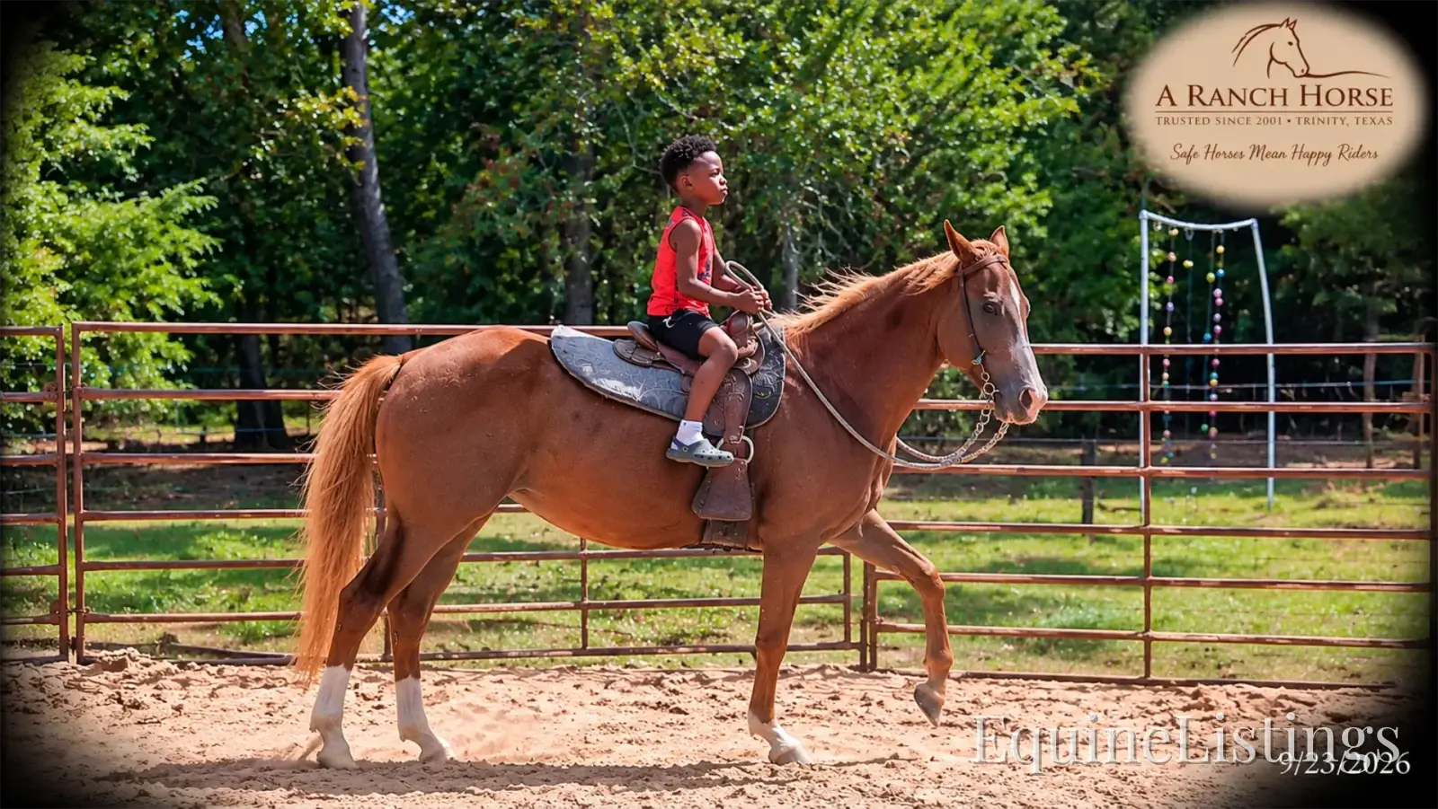 Blair Sorrel Mare Quarter Horse - Photo 10