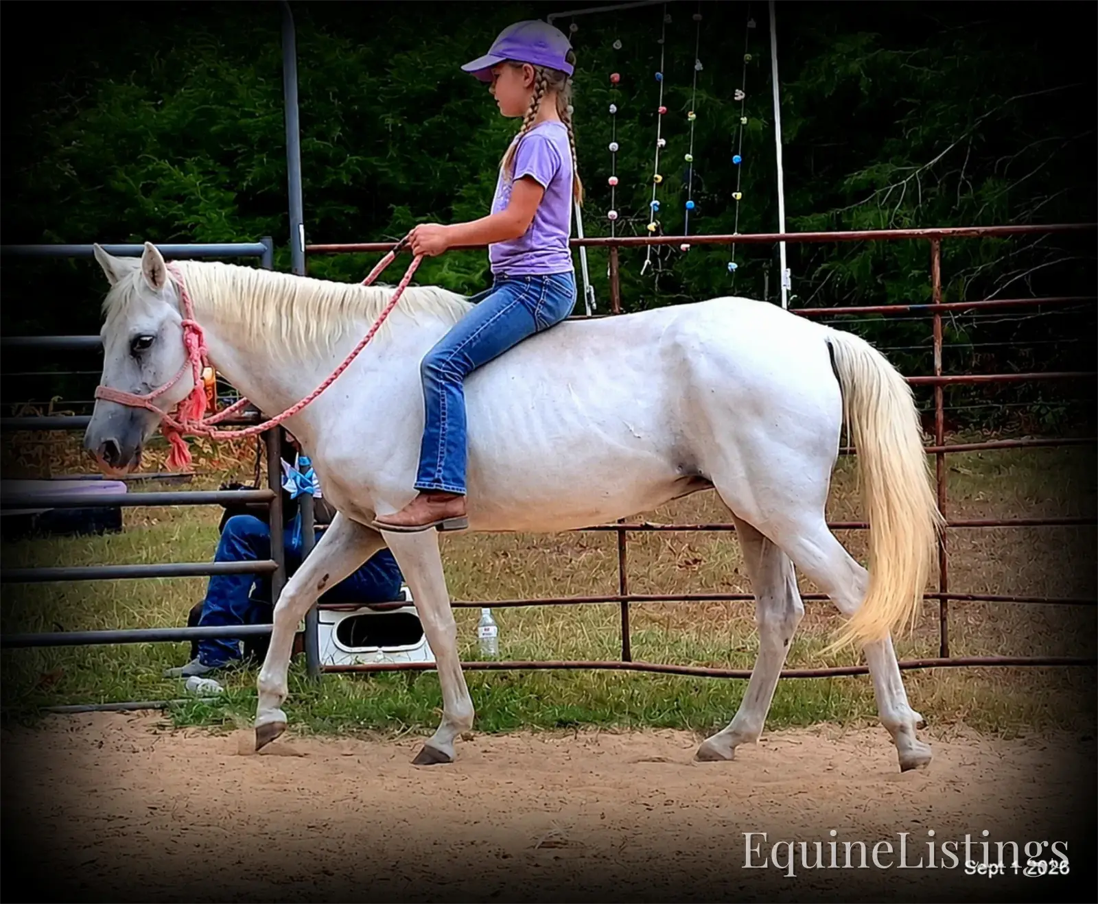 Wisp Grey Mare Paso Fino - Photo 5