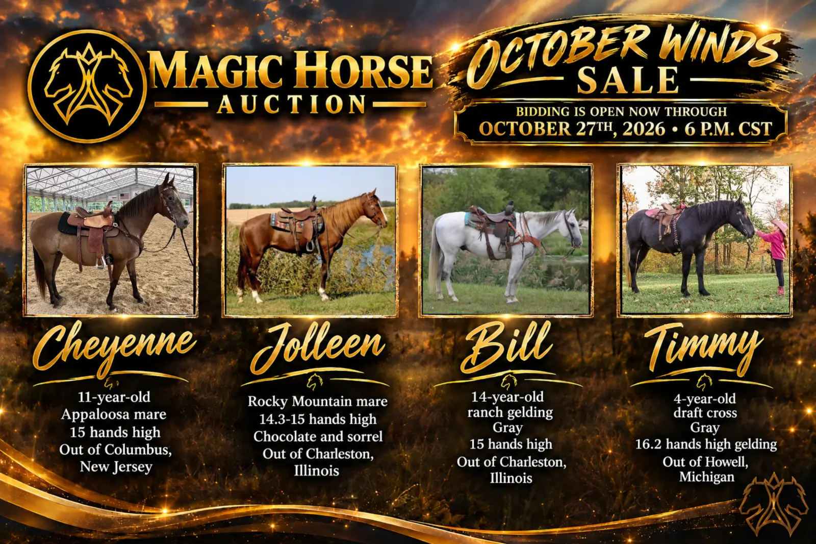 CATALOG LINEUP .jpg
