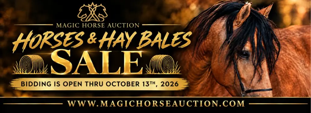 AUCTION COVER PHOTO.jpg