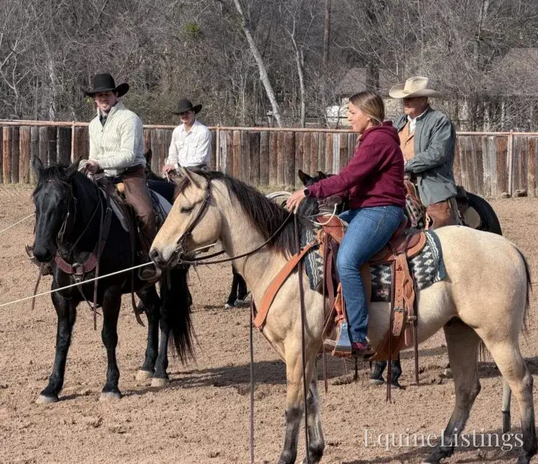 Judge AKA “A Sweet Dude” Buckskin Gelding Buckskin - Photo 11