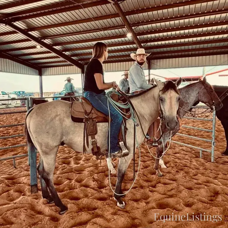 Judge AKA “A Sweet Dude” Buckskin Gelding Buckskin - Photo 13
