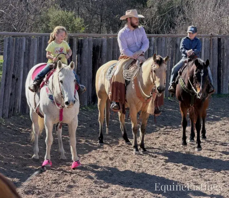 Judge AKA “A Sweet Dude” Buckskin Gelding Buckskin - Photo 20