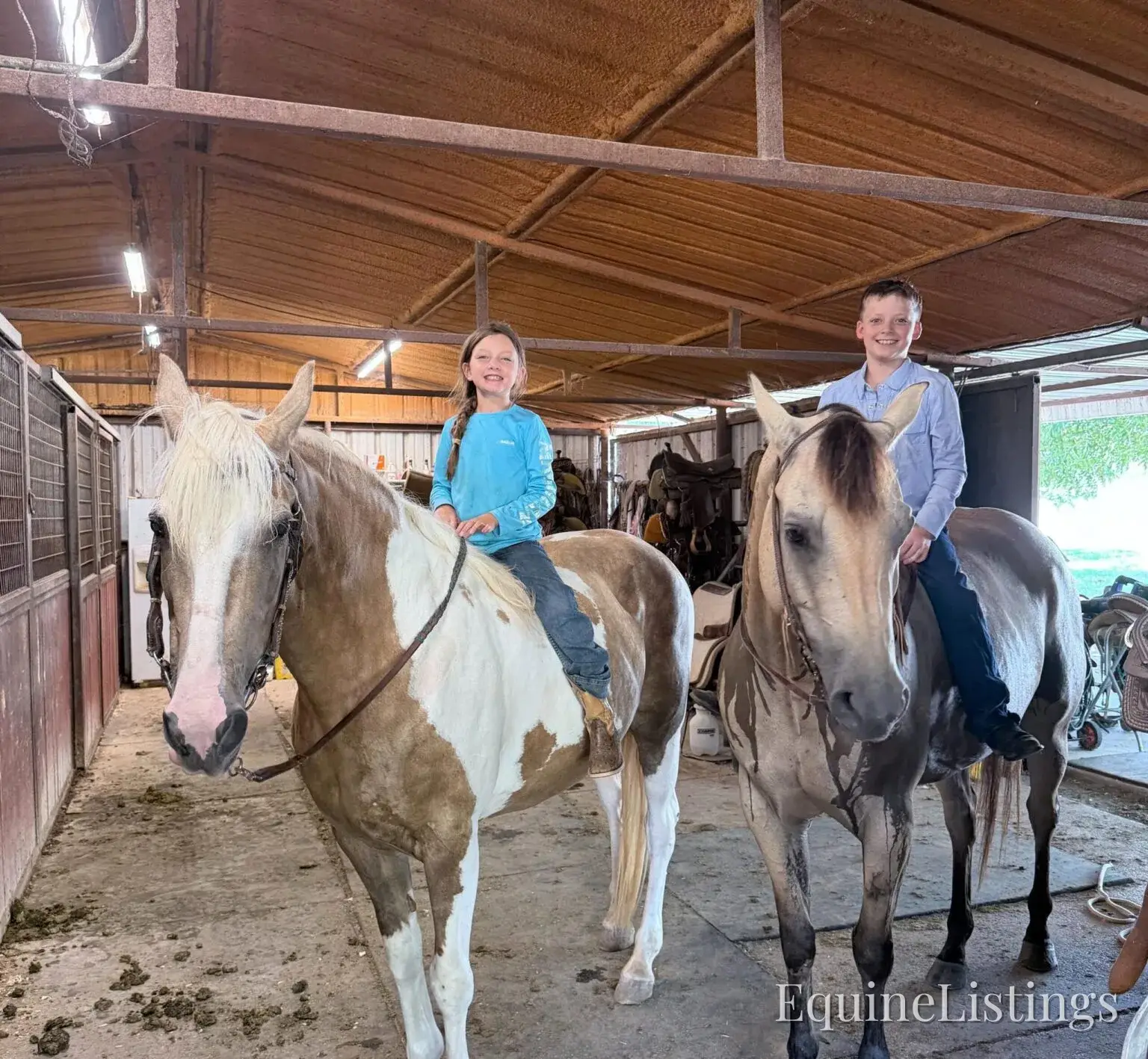 Judge AKA “A Sweet Dude” Buckskin Gelding Buckskin - Photo 33