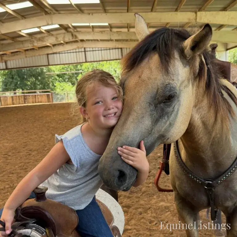 Judge AKA “A Sweet Dude” Buckskin Gelding Buckskin - Photo 6
