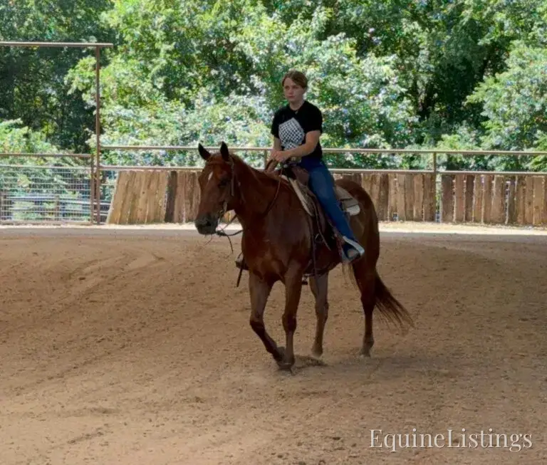 Kali AKA “Wimpys Domino” Sorrel Mare Other Breed - Photo 23