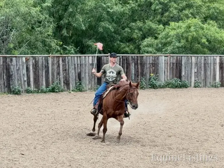 Kali AKA “Wimpys Domino” Sorrel Mare Other Breed - Photo 9