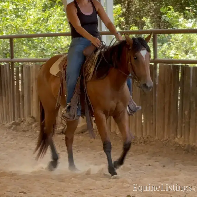 Dove AKA “Sparka Roit” Mare Quarter Horse - Photo 11