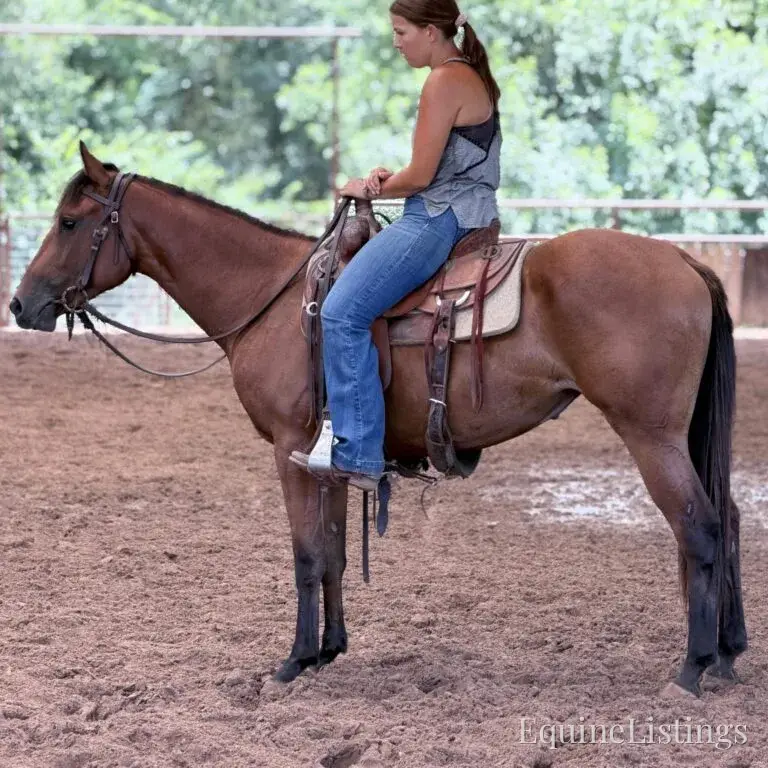 Dove AKA “Sparka Roit” Mare Quarter Horse - Photo 13