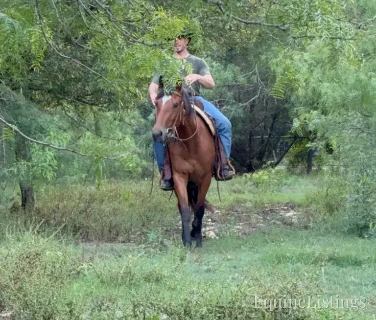 Dove AKA “Sparka Roit” Mare Quarter Horse - Photo 15