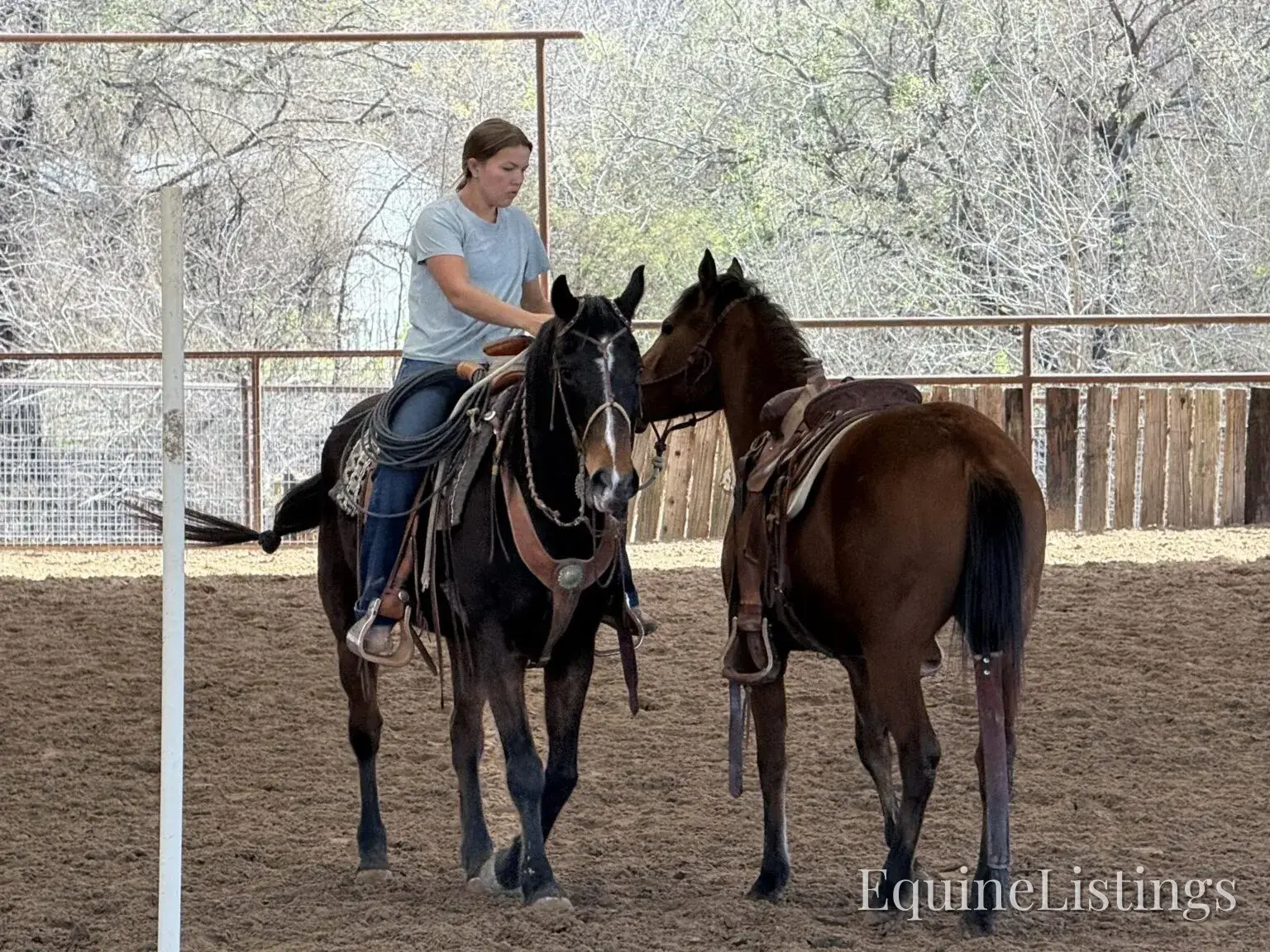 Dove AKA “Sparka Roit” Mare Quarter Horse - Photo 7