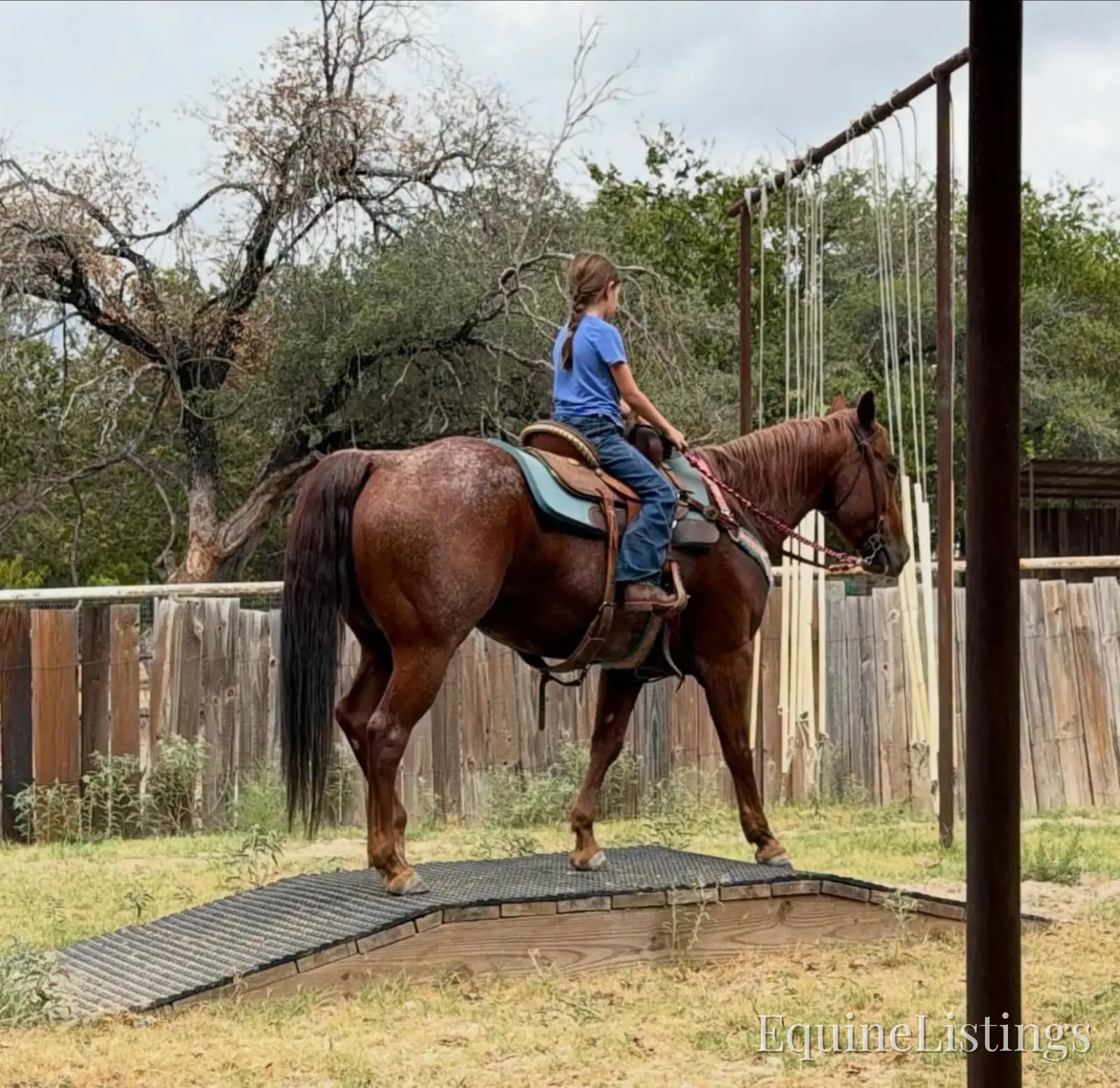 Smarty Red Roan Gelding Other Breed - Photo 2
